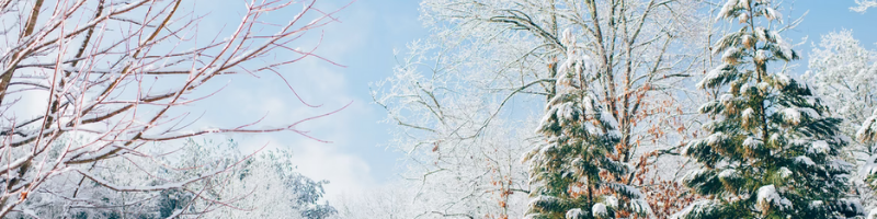 winter must-haves